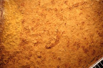 Media type: image;   Entomology PALE-382